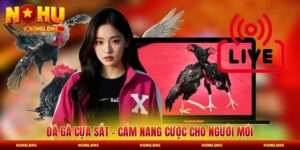 Đá Gà Cựa Sắt - Cẩm Nang Cược Dành Cho Người Mới